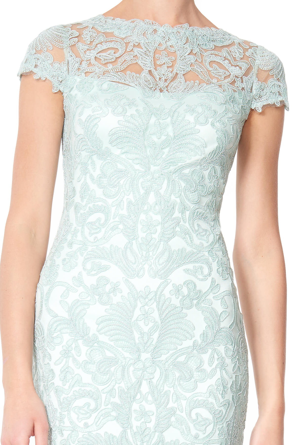 Tadashi Shoji - Corded Embroidery on Tulle Cap Sleeve Dress - Detail