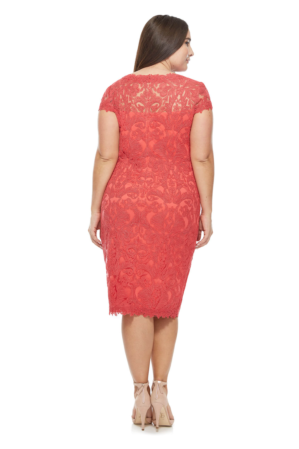 Tadashi Shoji Plus Size - Corded Embroidery on Tulle Cap Sleeve Dress