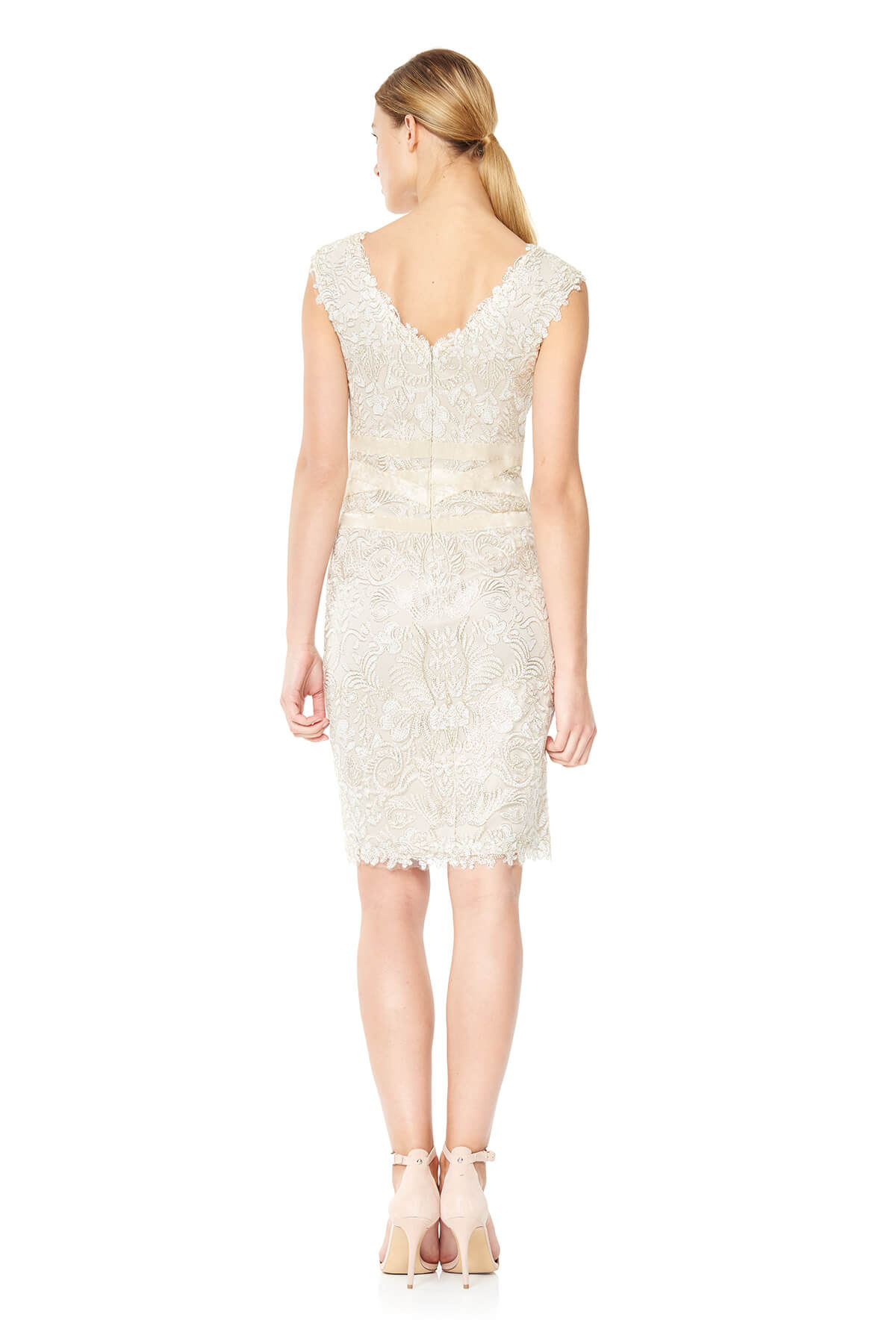 Tadashi Shoji - Corded Embroidery on Tulle V-Neck Banded Dress