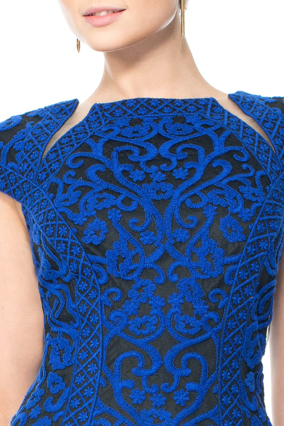 Crewel Embroidery on Tulle Cap Sleeve Dress