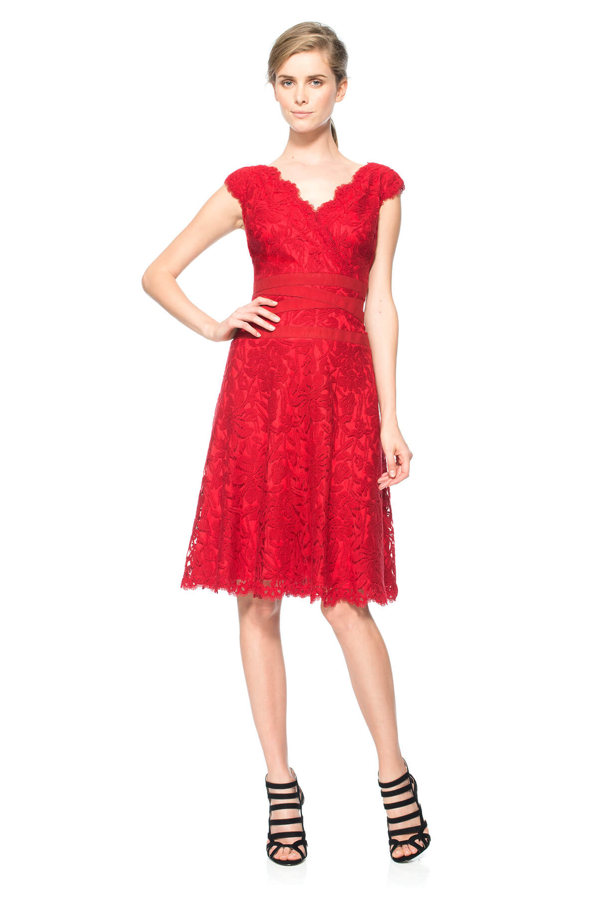 Embroidered Lace V-Neck A-Line Dress