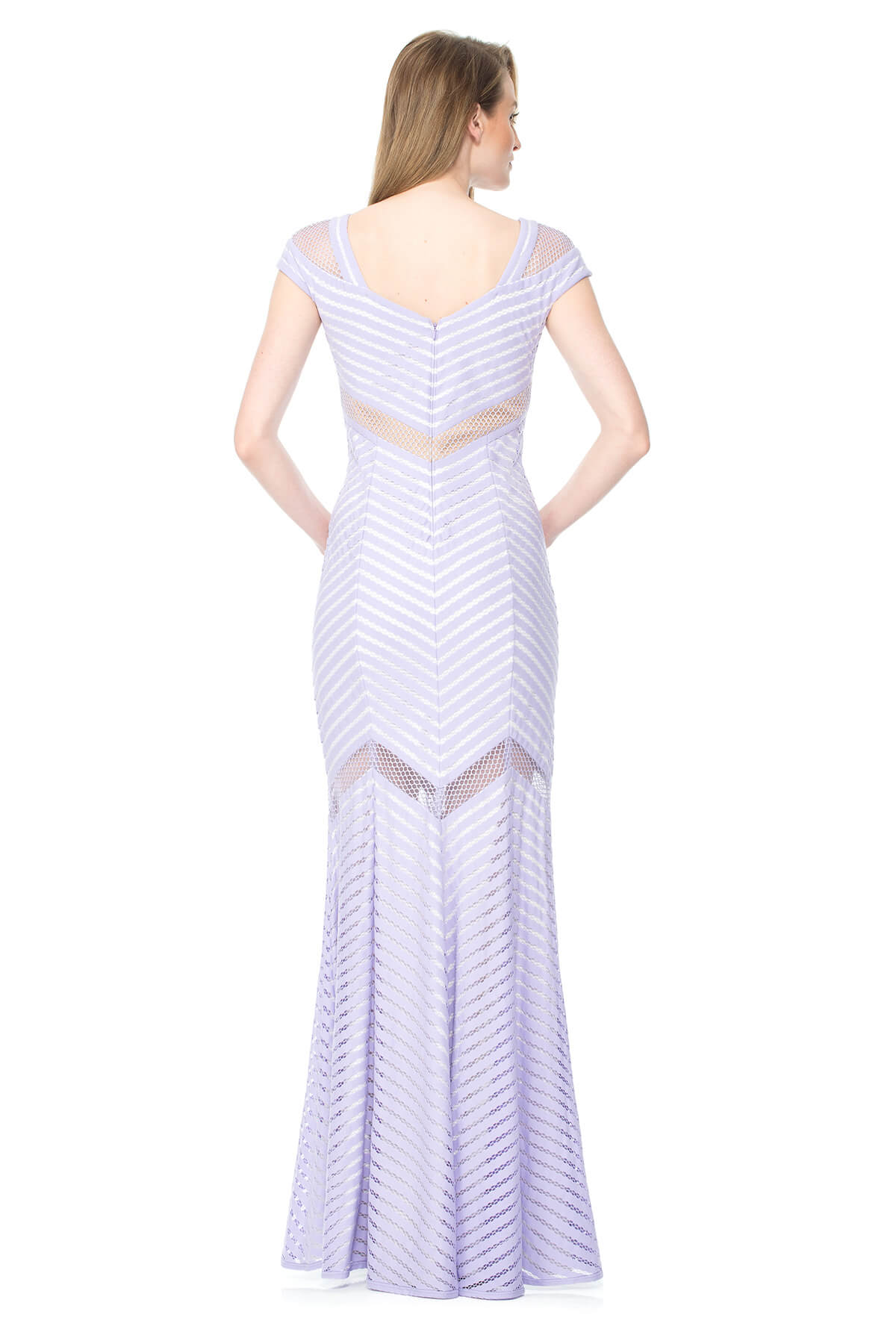 Stripe Lace Cap Sleeve Gown With Sheer Detail