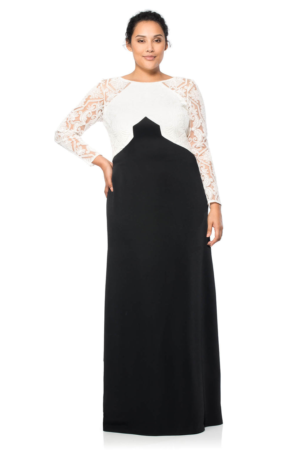 Tadashi Shoji Plus Size - Cotton Embroidered Tulle Colorblocked Gown