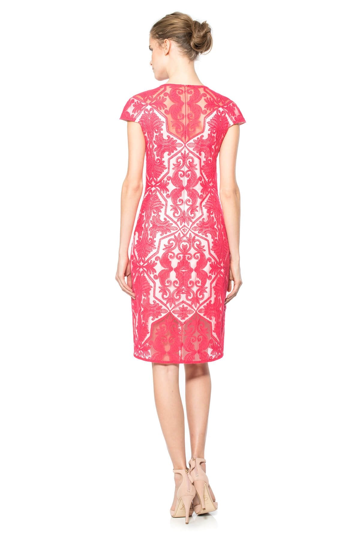 Rouge Cotton Embroidered Tulle Cap Sleeve Dress