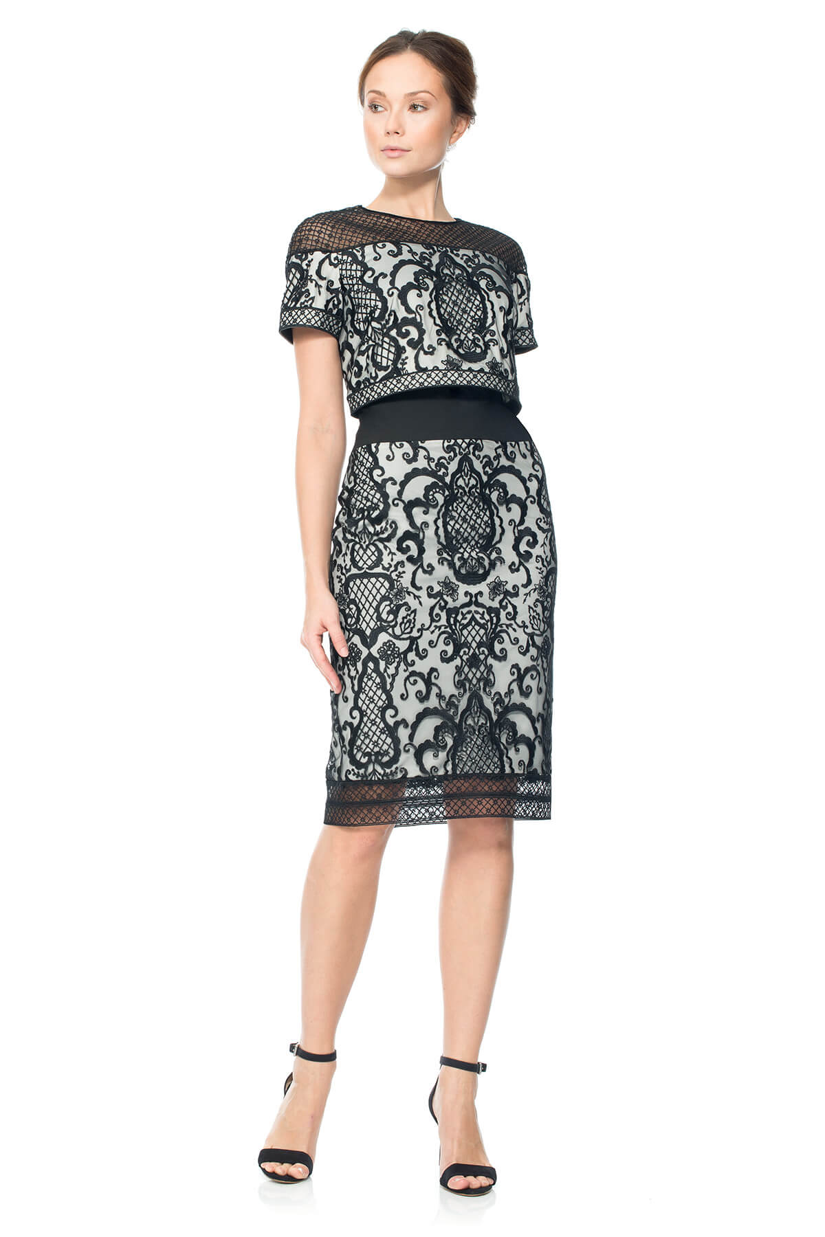 Embroidered Tulle Crop Top Dress