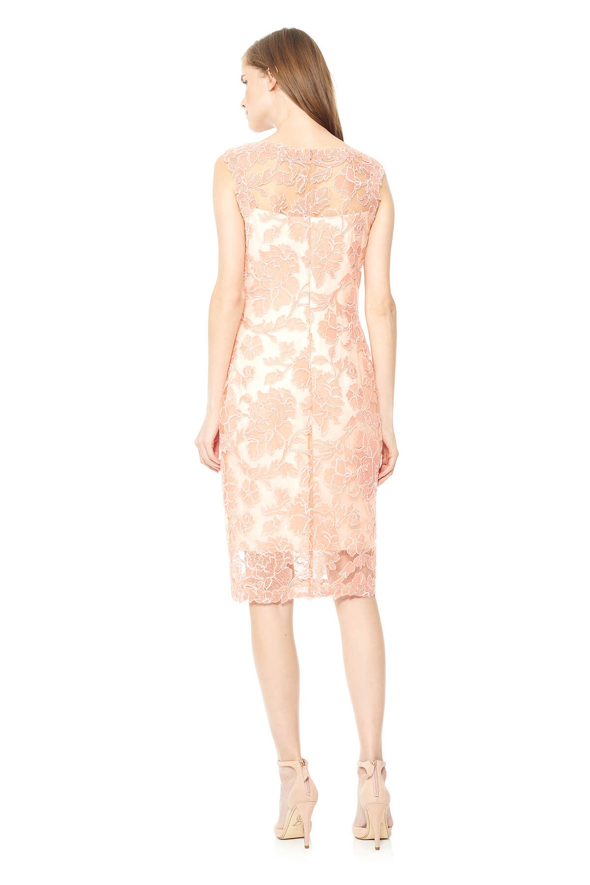 Tadashi Shoji - Peony Embroidered Dress