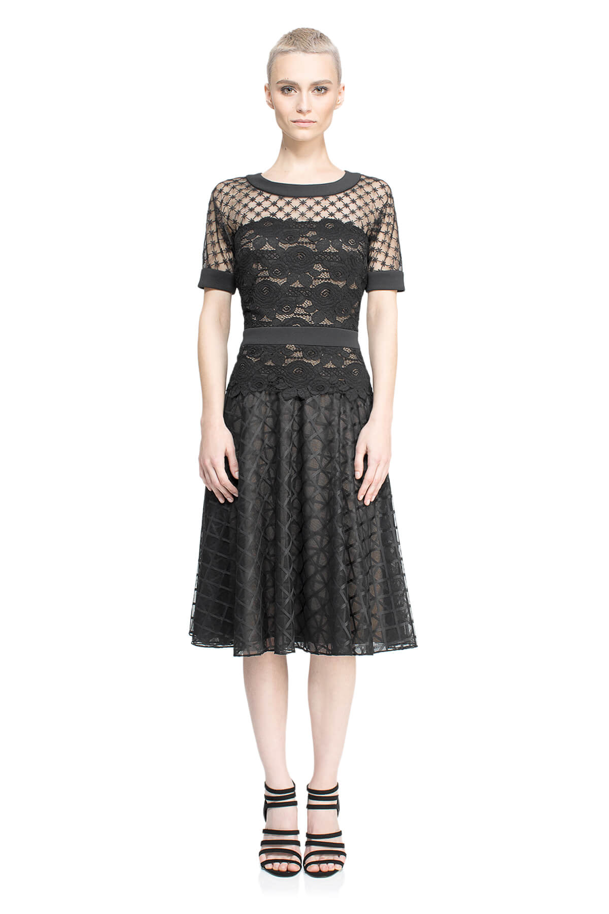 Tadashi Shoji - Suzushi Dress