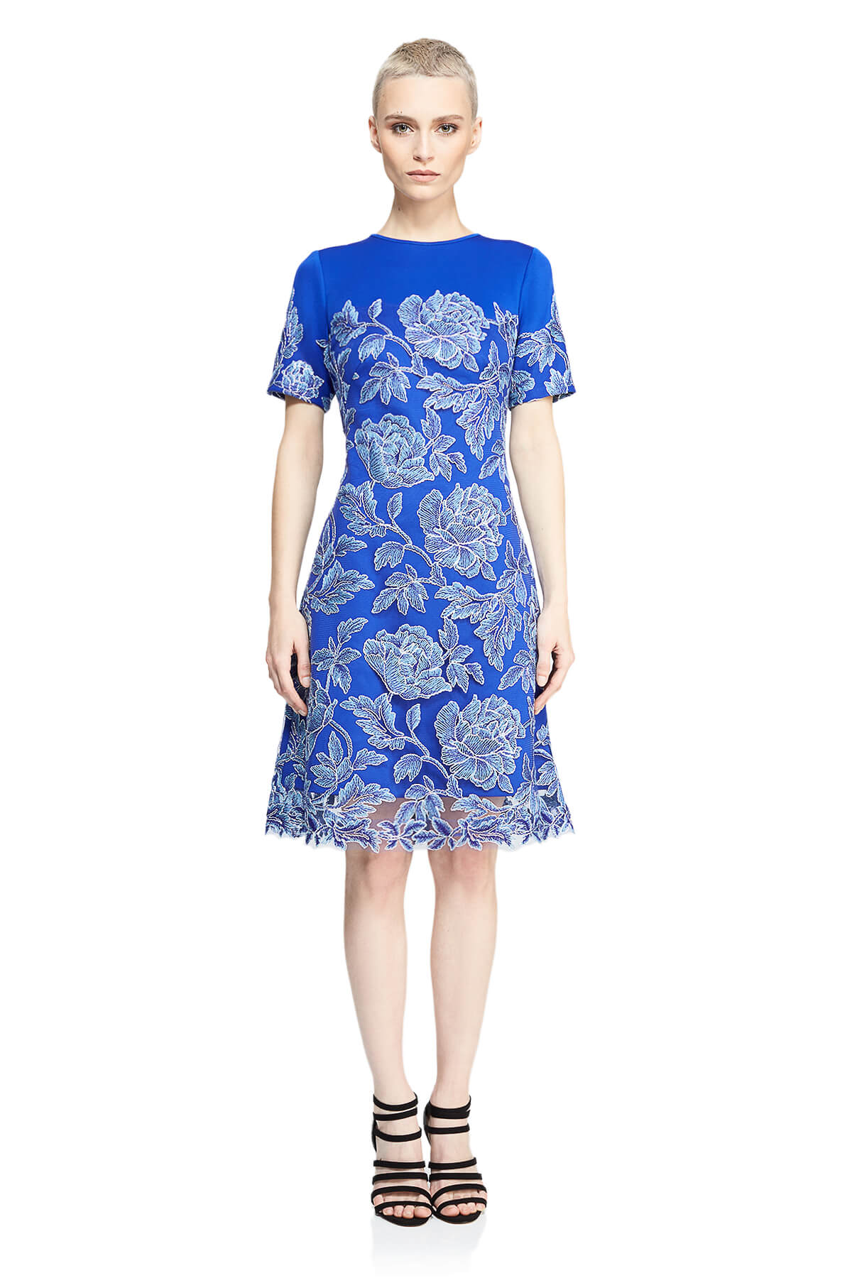 Tadashi Shoji - Sabi Dress