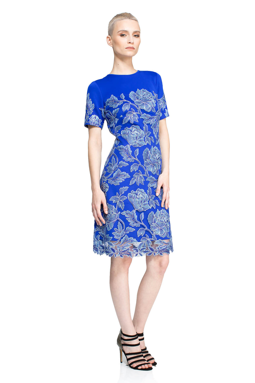 Tadashi Shoji - Sabi Dress