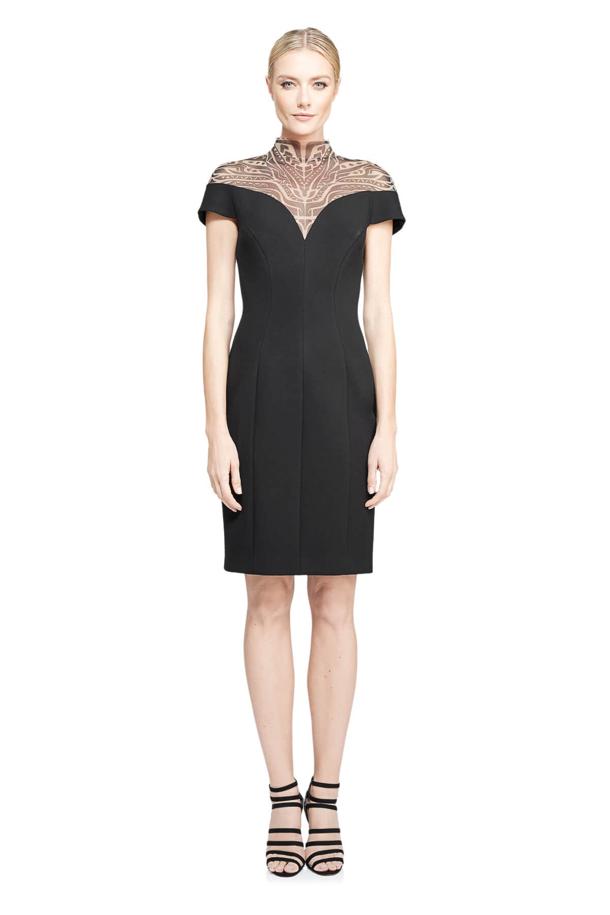 Tadashi Shoji - Clove Dress
