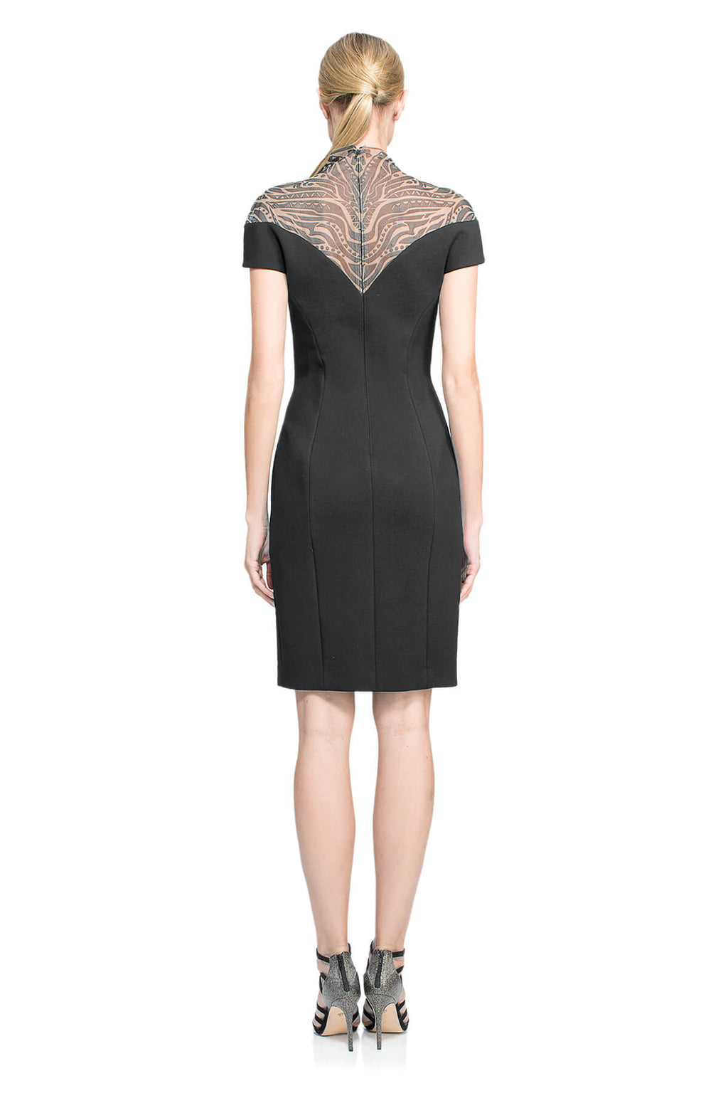 Tadashi Shoji - Clove Dress