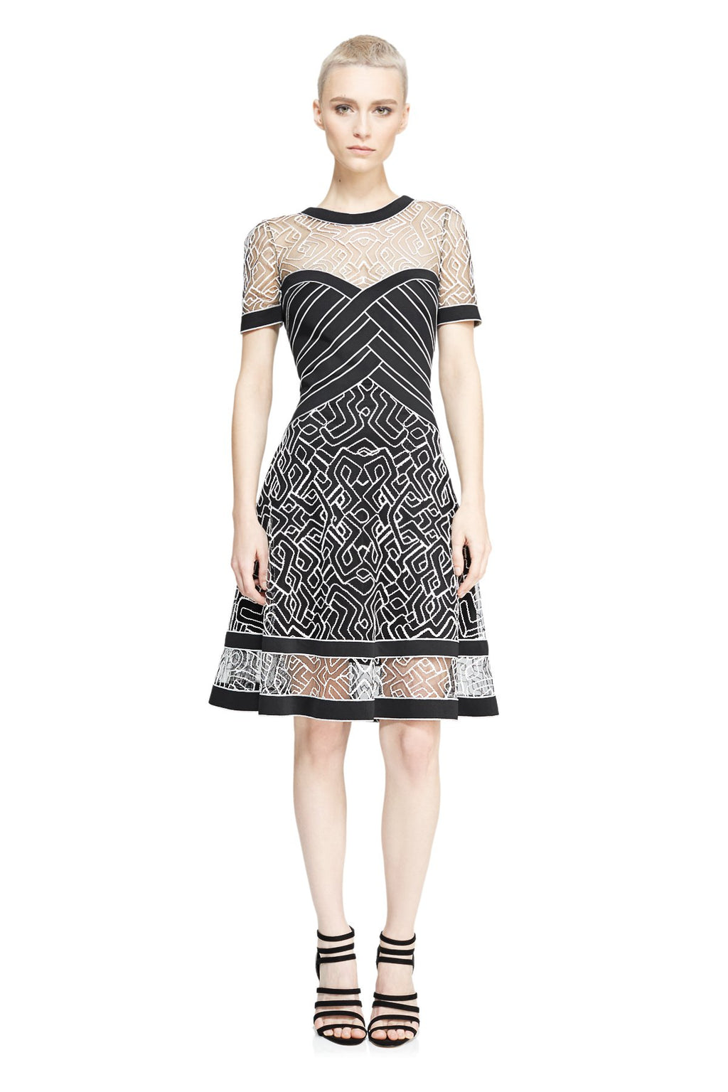 Tadashi Shoji Petite - Eliza Dress