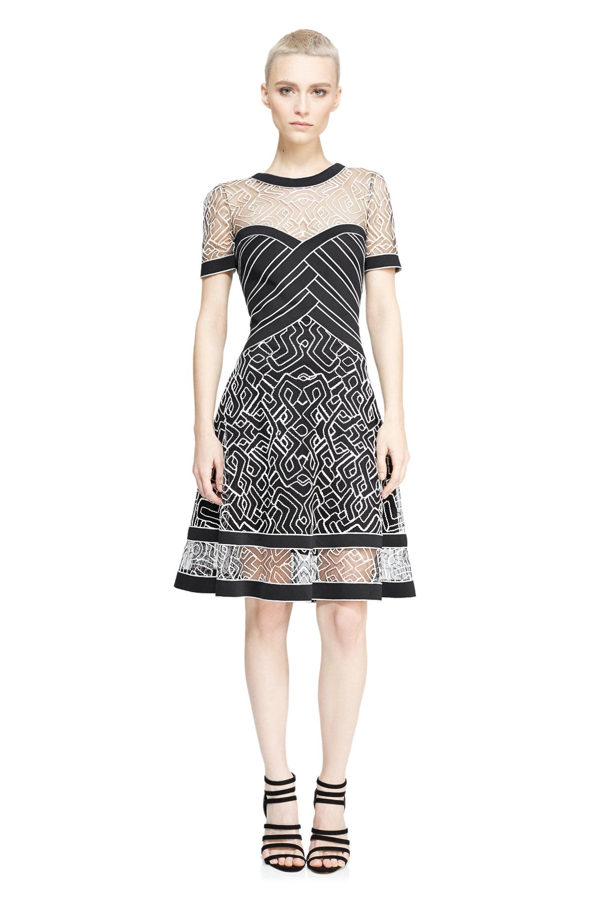 Tadashi Shoji Petite - Eliza Dress