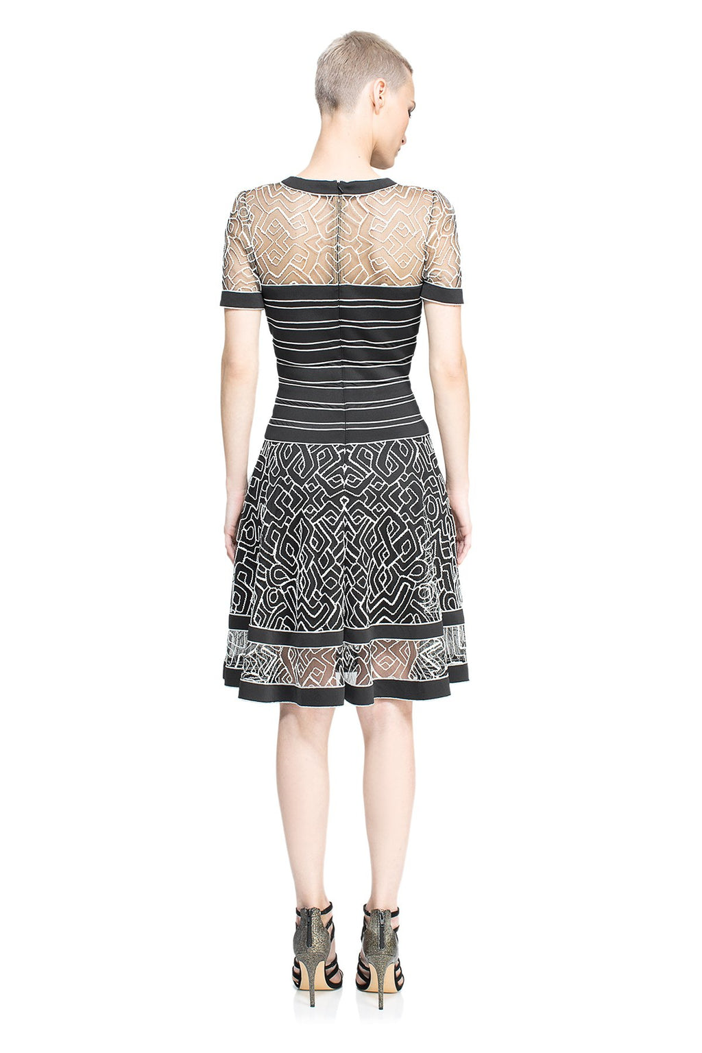 Tadashi Shoji Petite - Eliza Dress