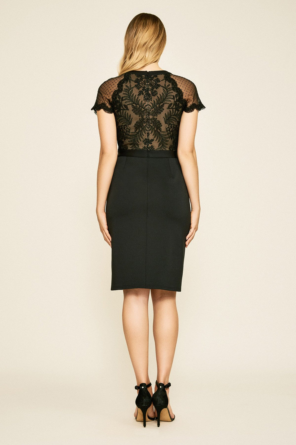 Tadashi Shoji - Charisse Lace & Neoprene Dress - PETITE