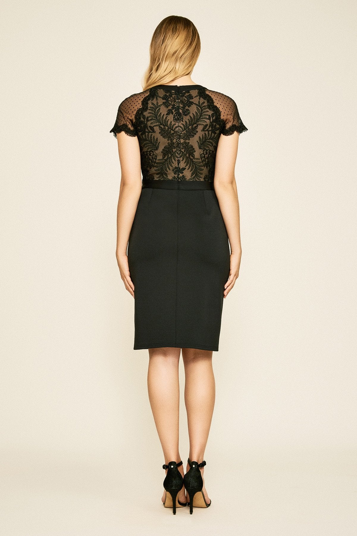 Tadashi Shoji - Charisse Lace & Neoprene Dress - PETITE