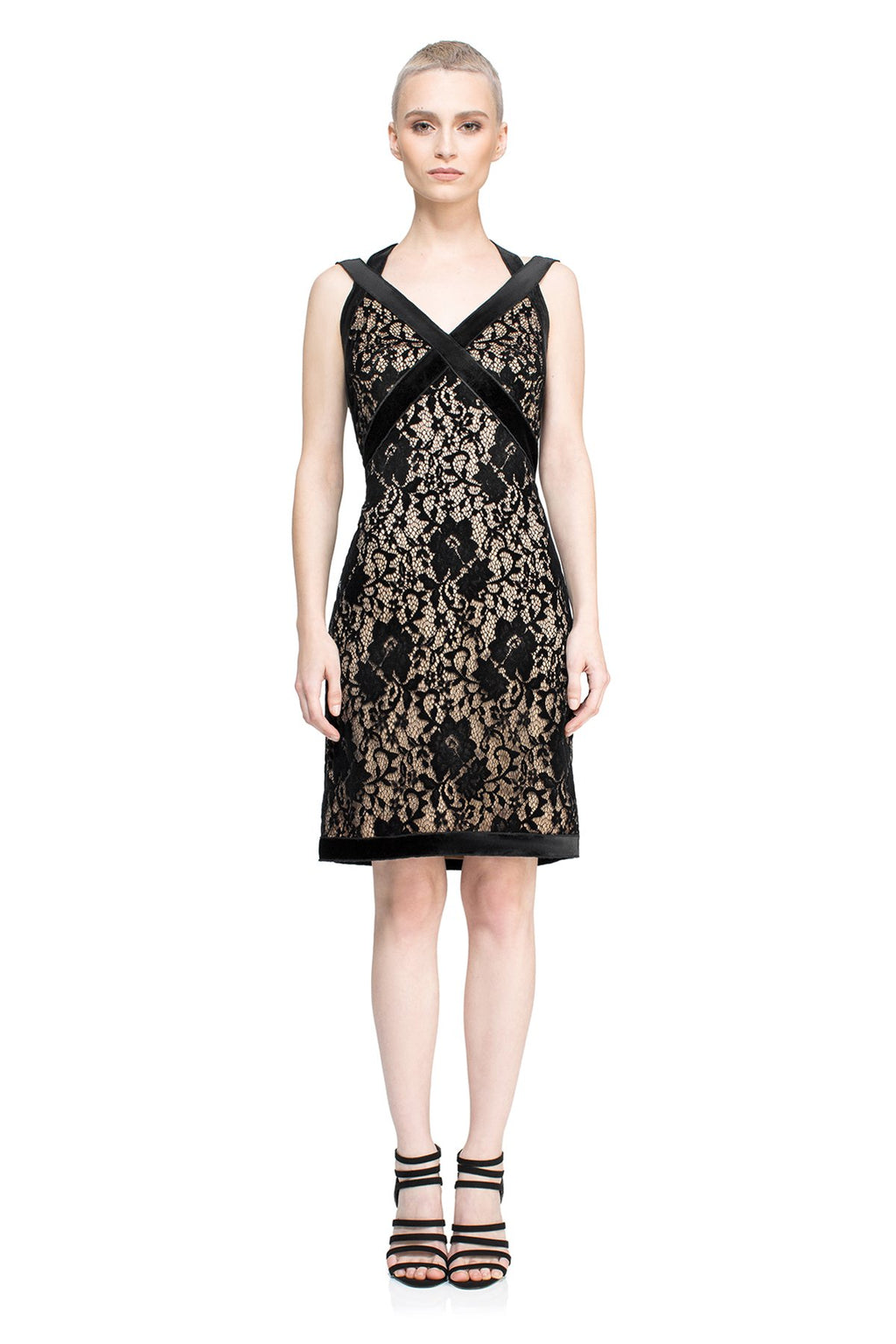 Tadashi Shoji - Coco Dress