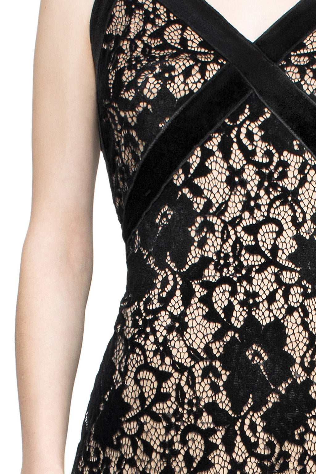 Tadashi Shoji Detail - Coco Dress