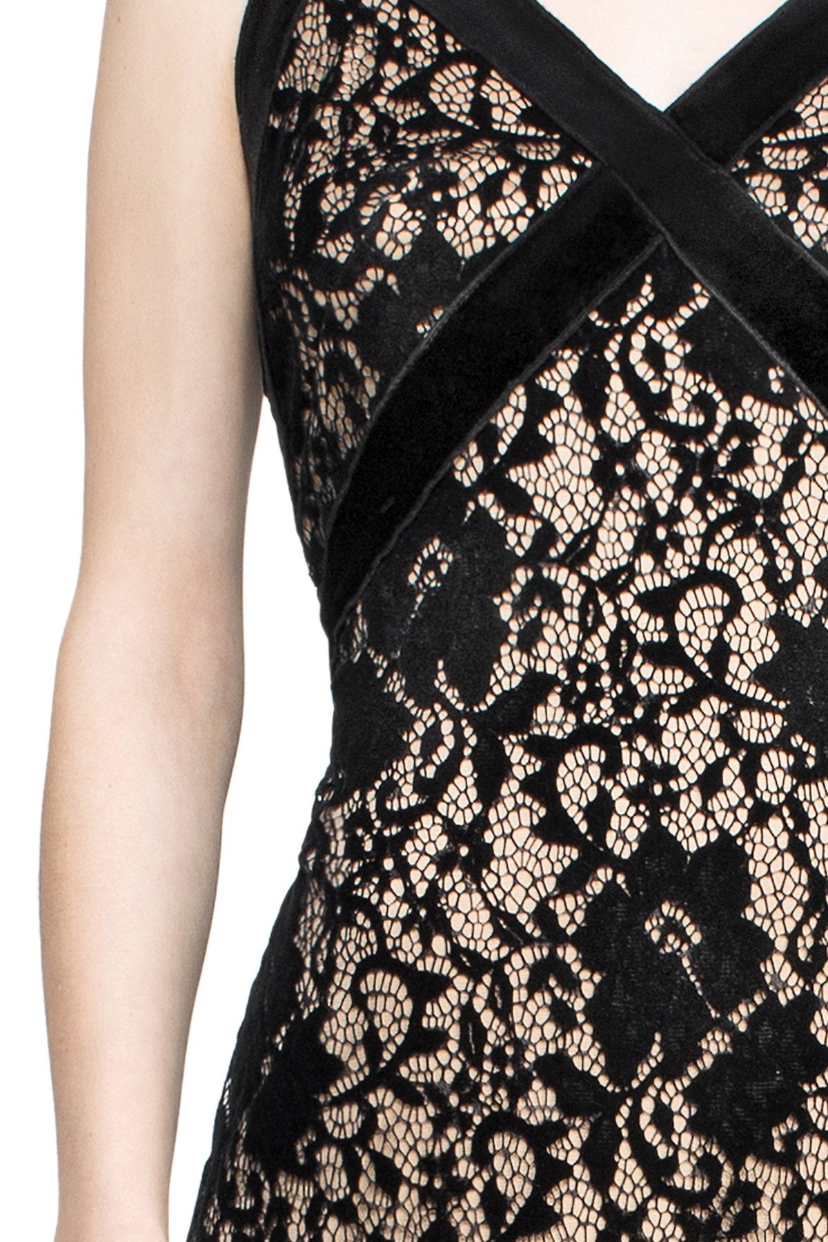 Tadashi Shoji Detail - Coco Dress