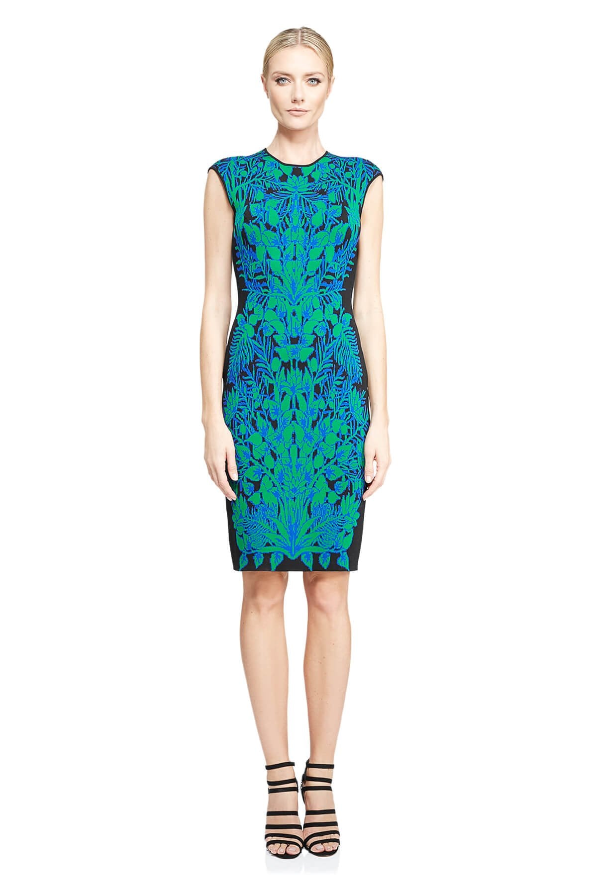 Tadashi Shoji - Pretoria Dress