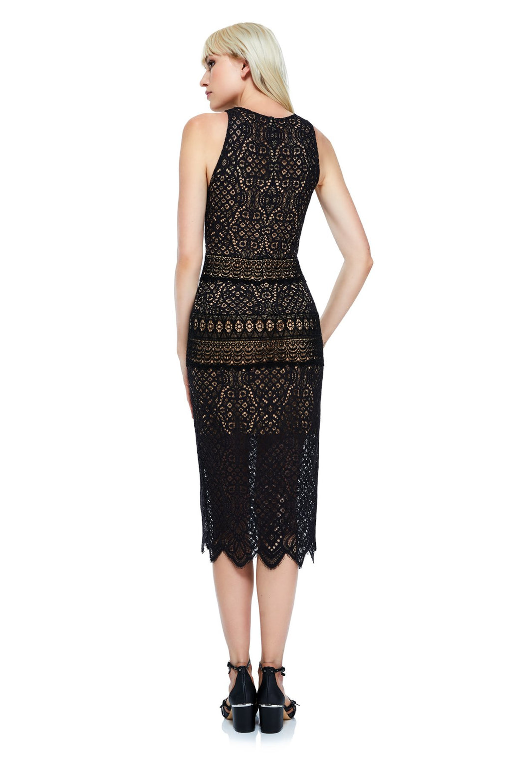 Tadashi Shoji PETITE - Jacques Midi Dress 