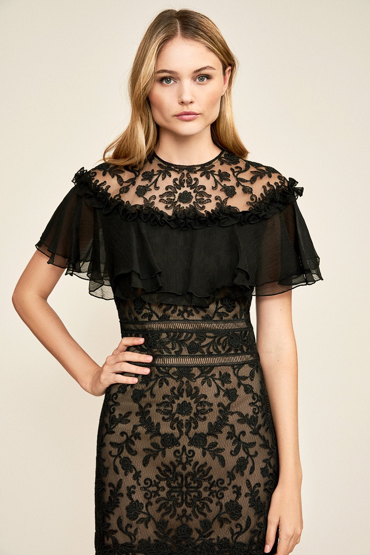 Tadashi Shoji - Zaria Tulle-Embroidered Dress