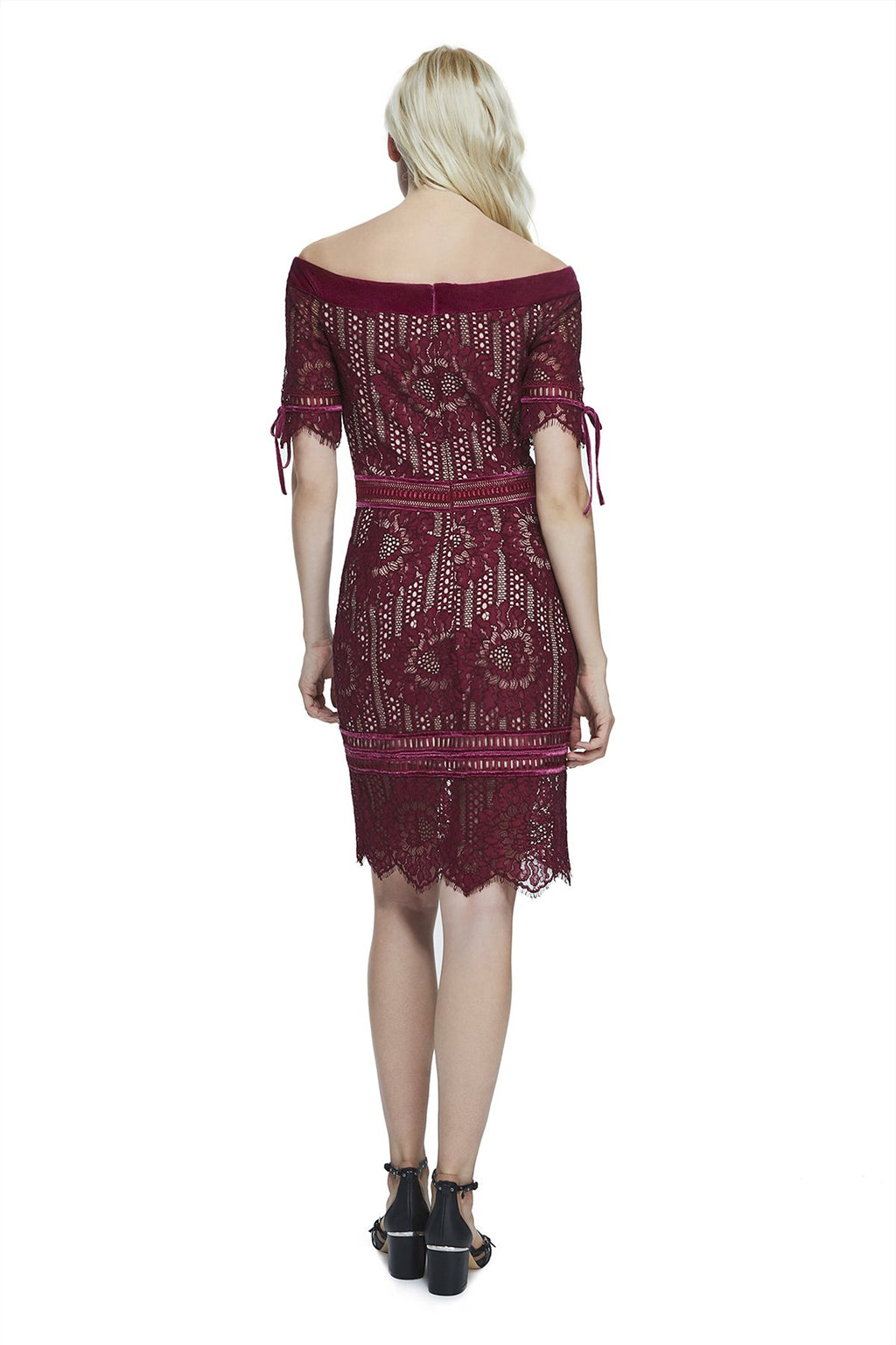 Tadashi Shoji - Rosina Dress