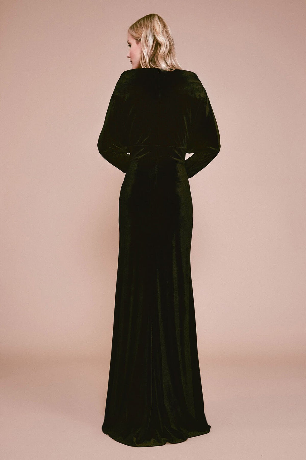 Tadashi Shoji - Malee V-Neck Velvet Gown