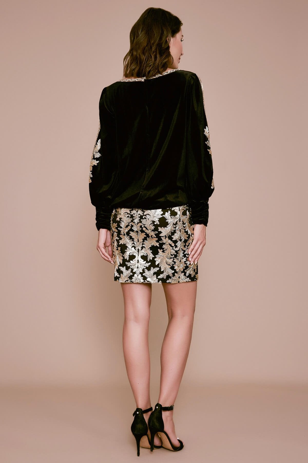 Tadashi Shoji - Bourey Embroidered Velvet Dress