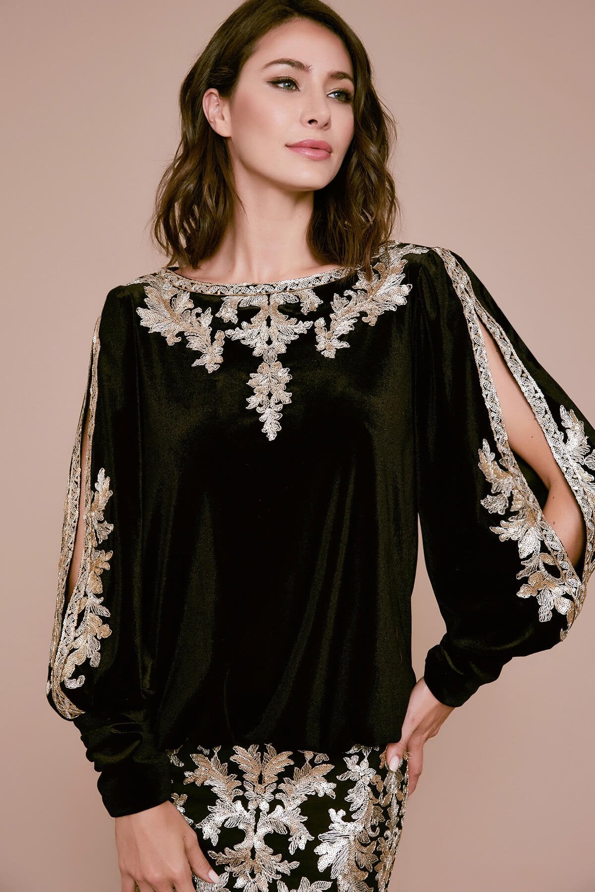 Tadashi Shoji - Bourey Embroidered Velvet Dress