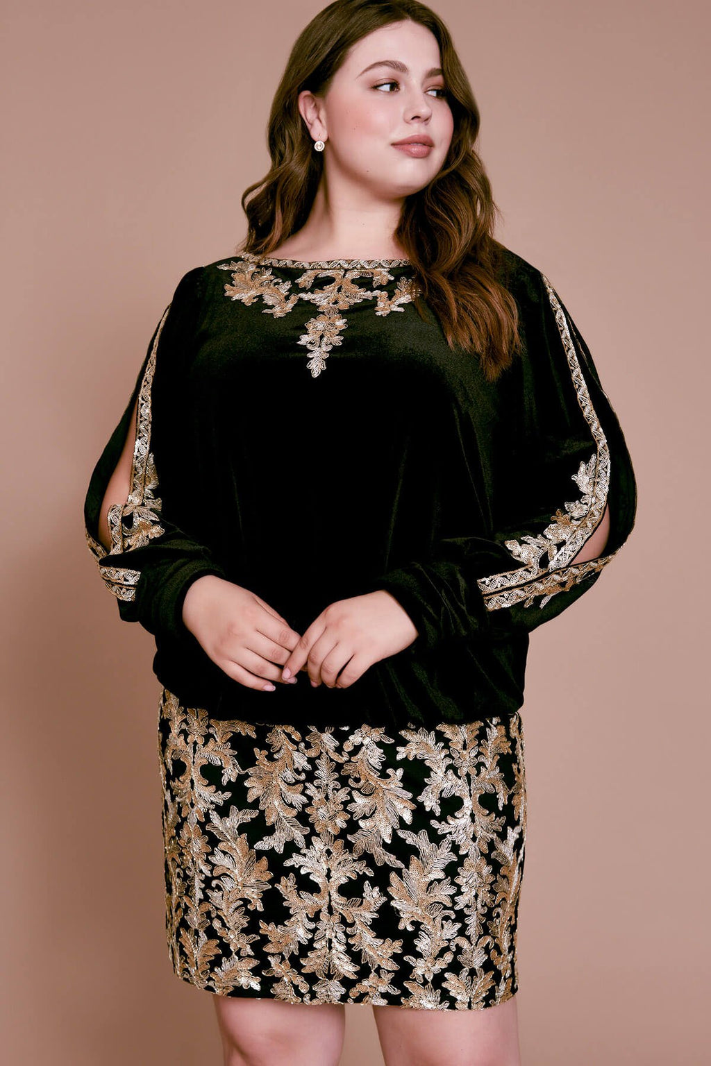 Bourey Embroidered Velvet Dress - PLUS SIZE