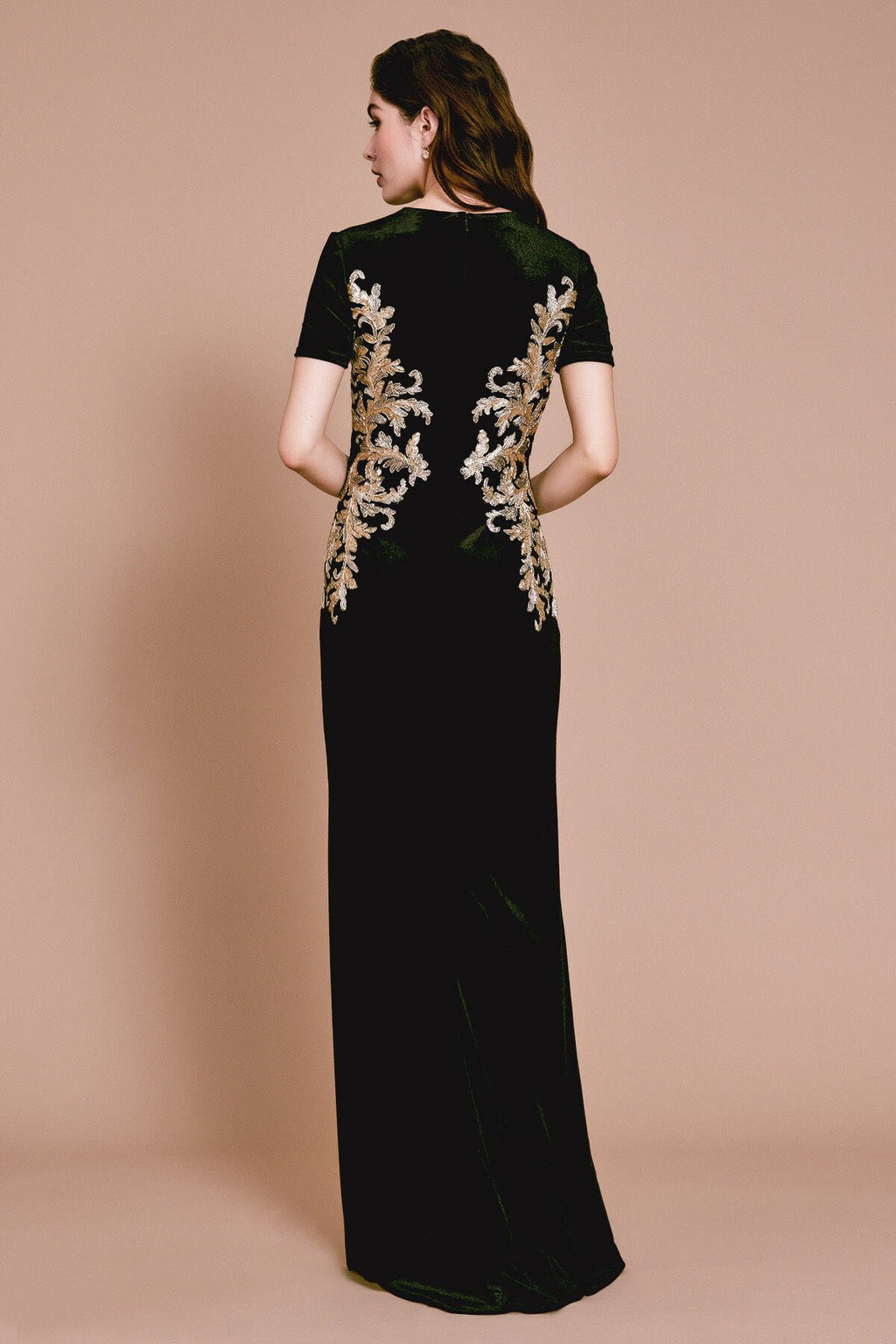 Ambai Embroidered Velvet Gown