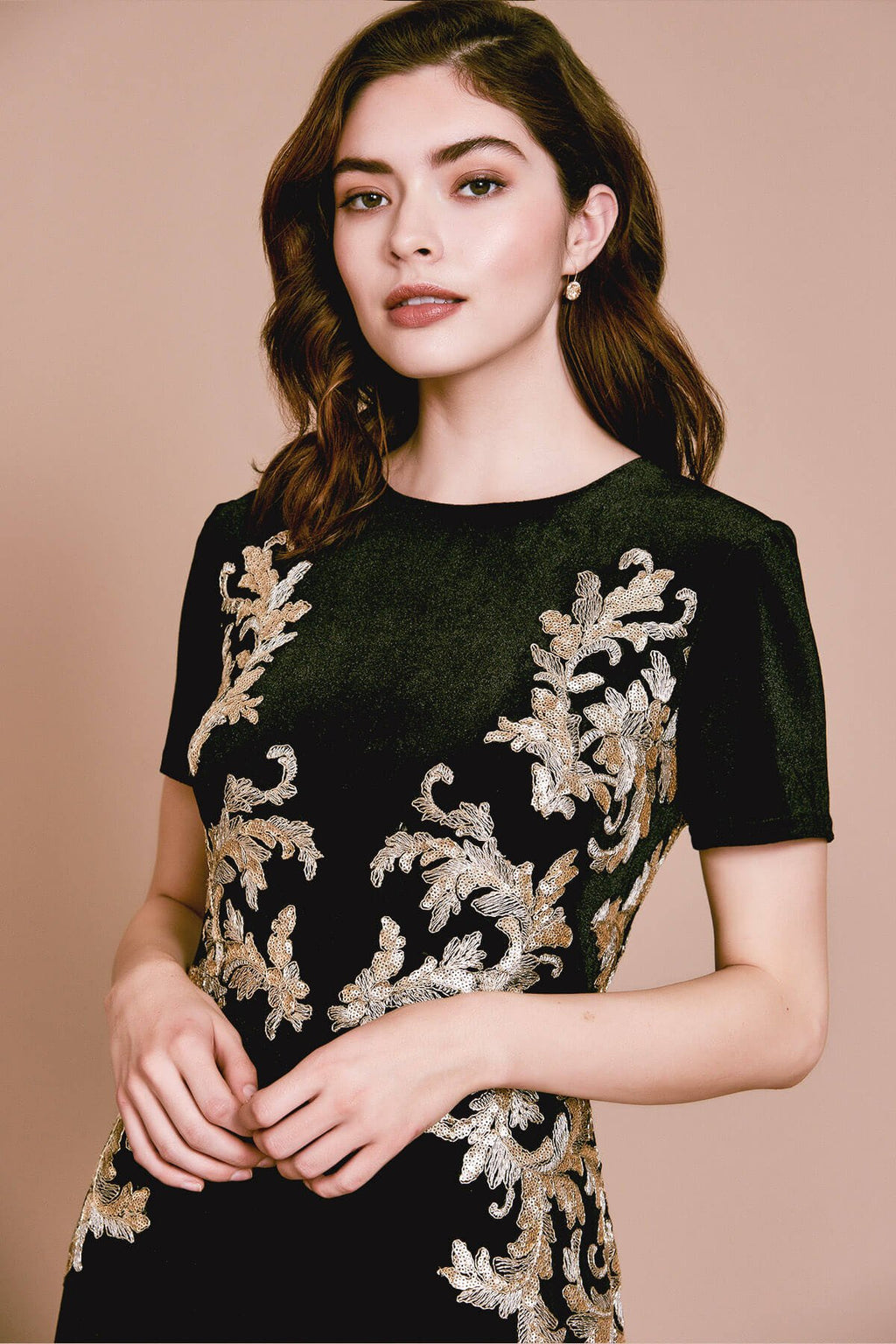 Ambai Embroidered Velvet Gown