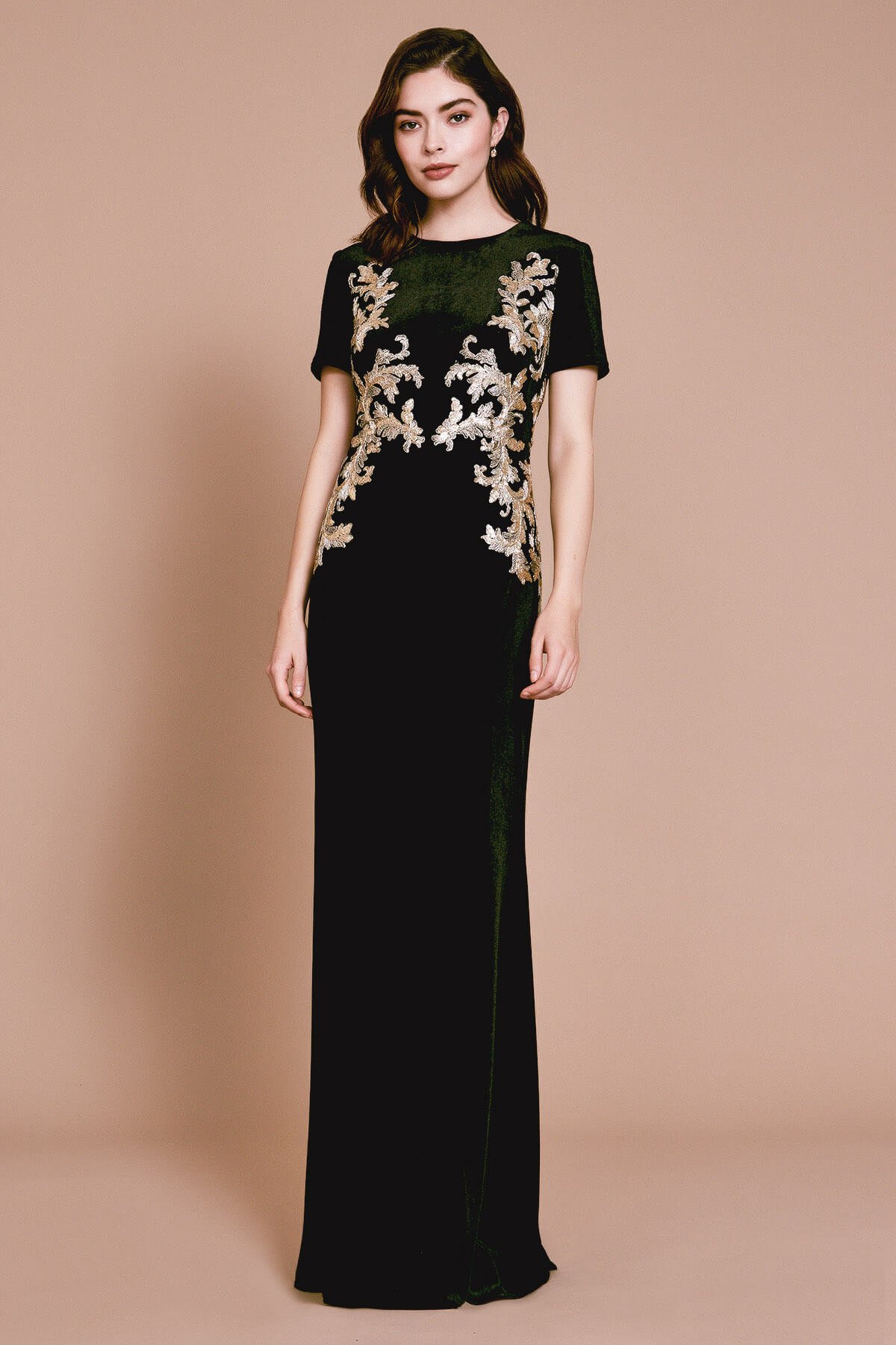 Ambai Embroidered Velvet Gown