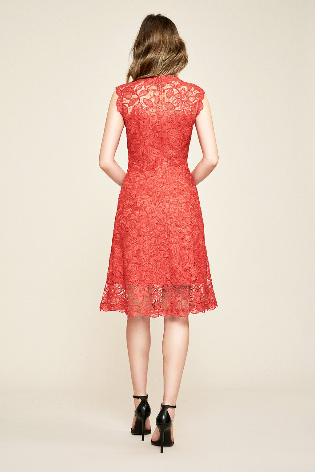 Tadashi Shoji - Alyssa Corded Lace Sleeveless Dress