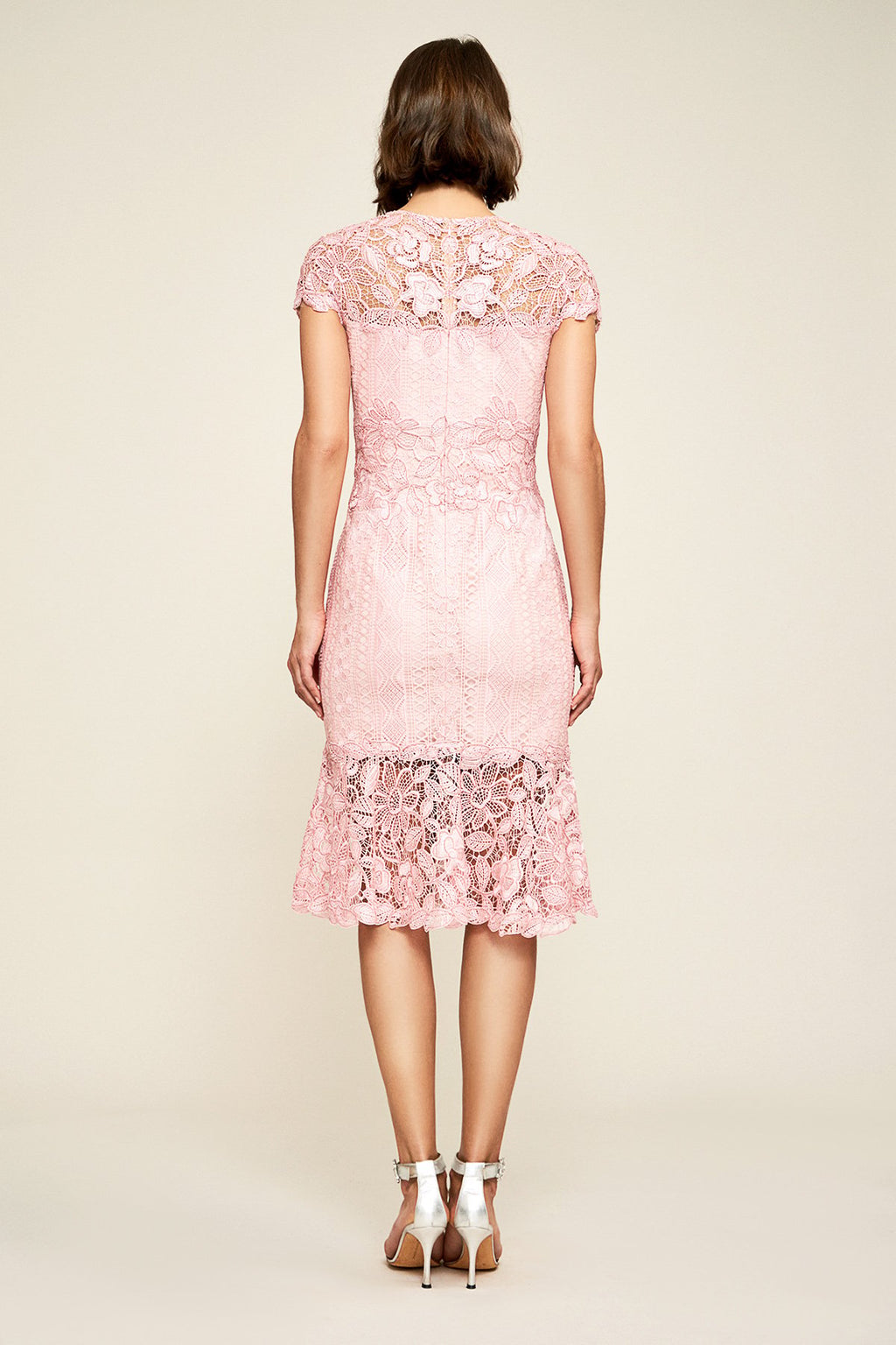 Tadashi Shoji - Alice Embroidered Lace Dress