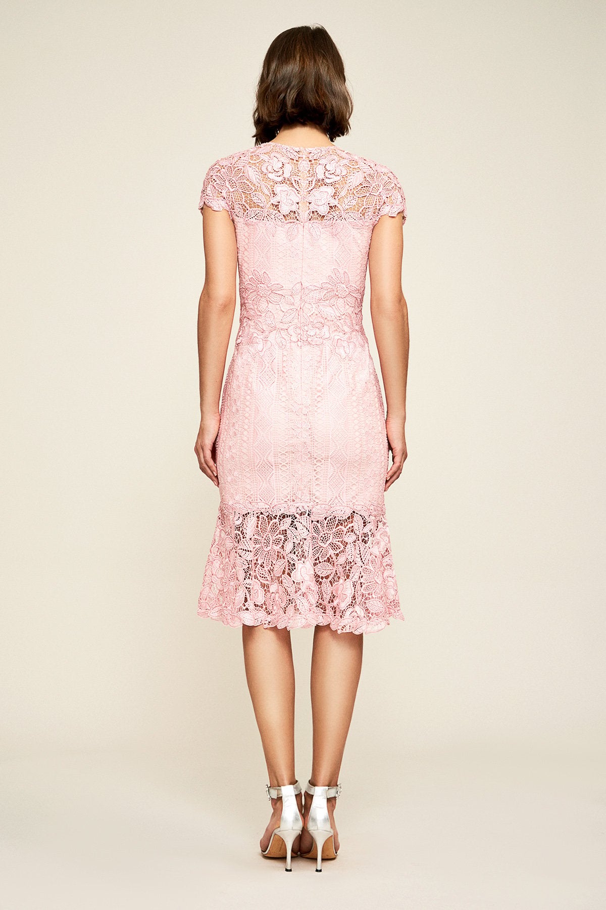Tadashi Shoji - Alice Embroidered Lace Dress