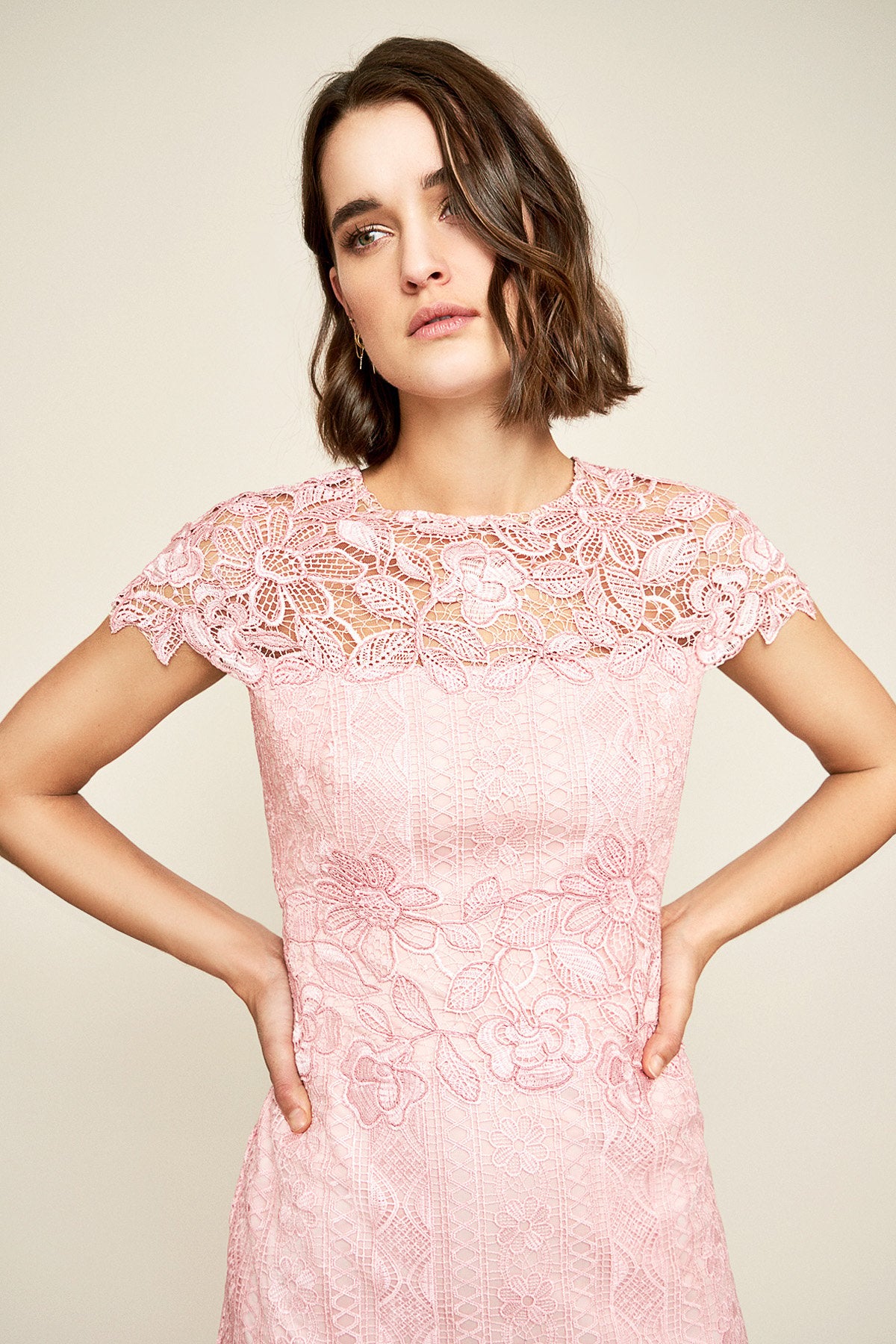 Tadashi Shoji - Alice Embroidered Lace Dress