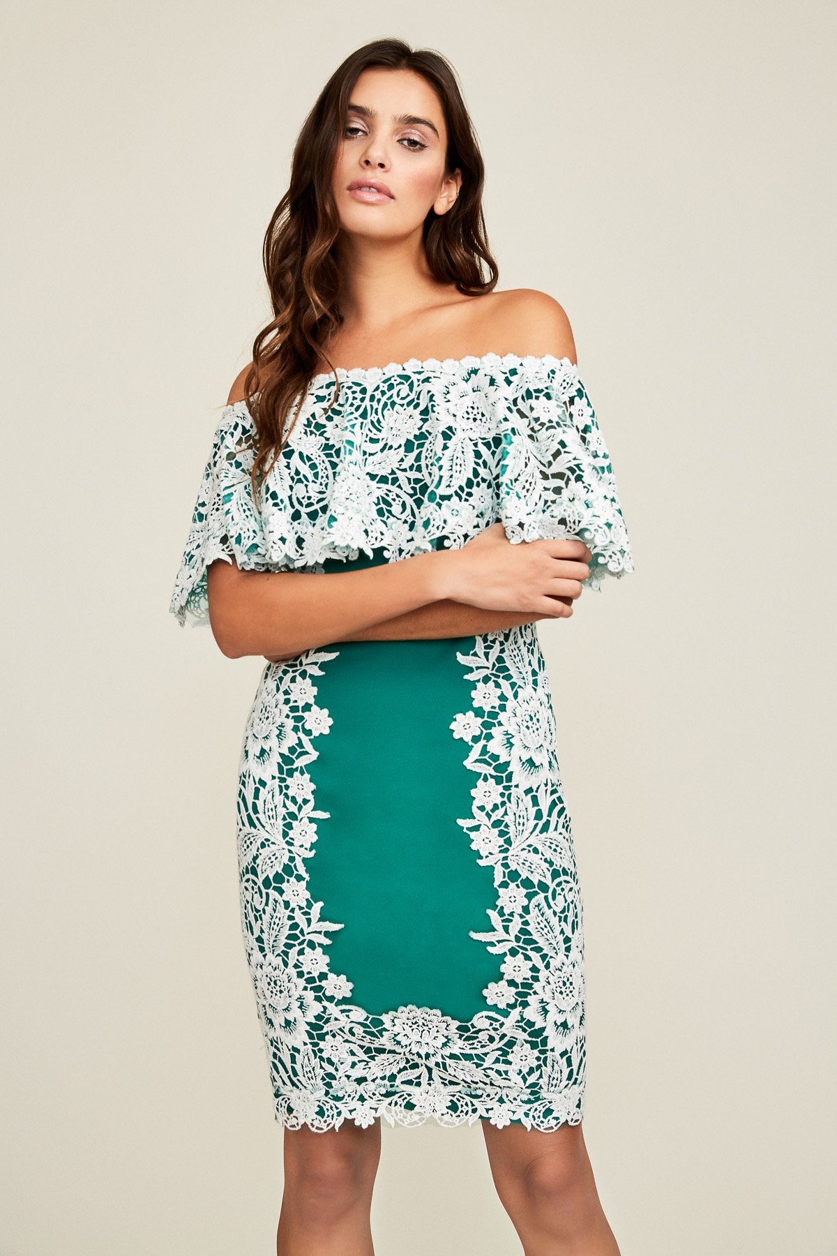 Tadashi Shoji - Nicole Off-The-Shoulder Lace Dress