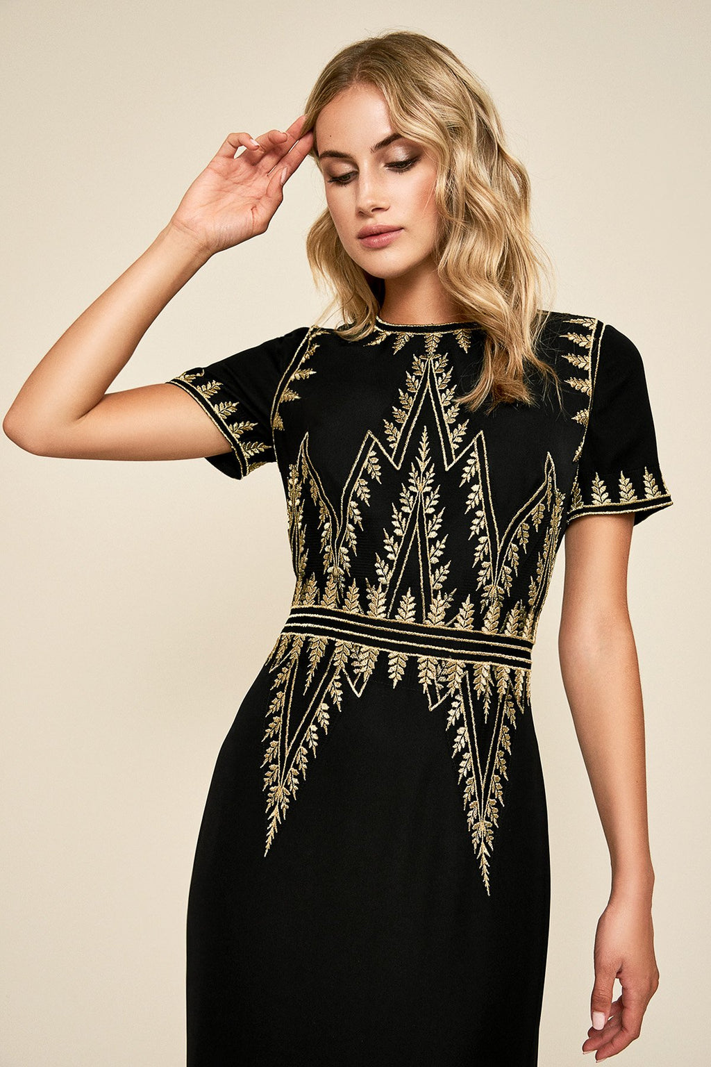 Tadashi Shoji - Remy Metallic Embroidery Gown