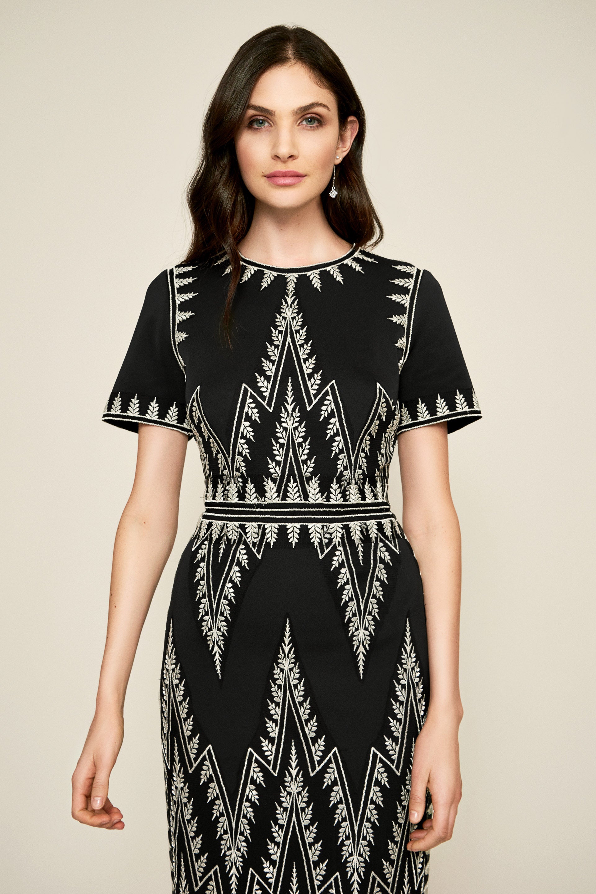 Tadashi Shoji - Darya Embroidered Crepe Gown