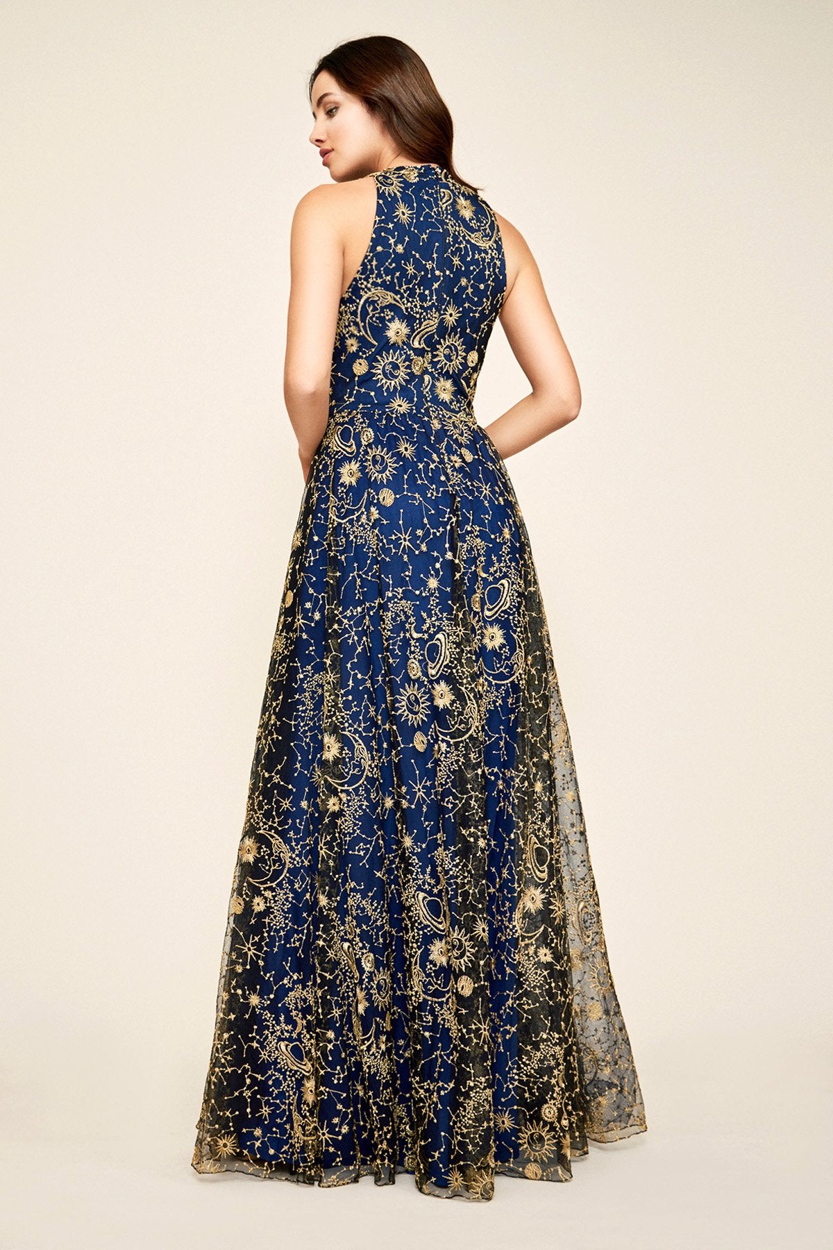Tadashi Shoji - Callisto Embroidered Tulle Gown