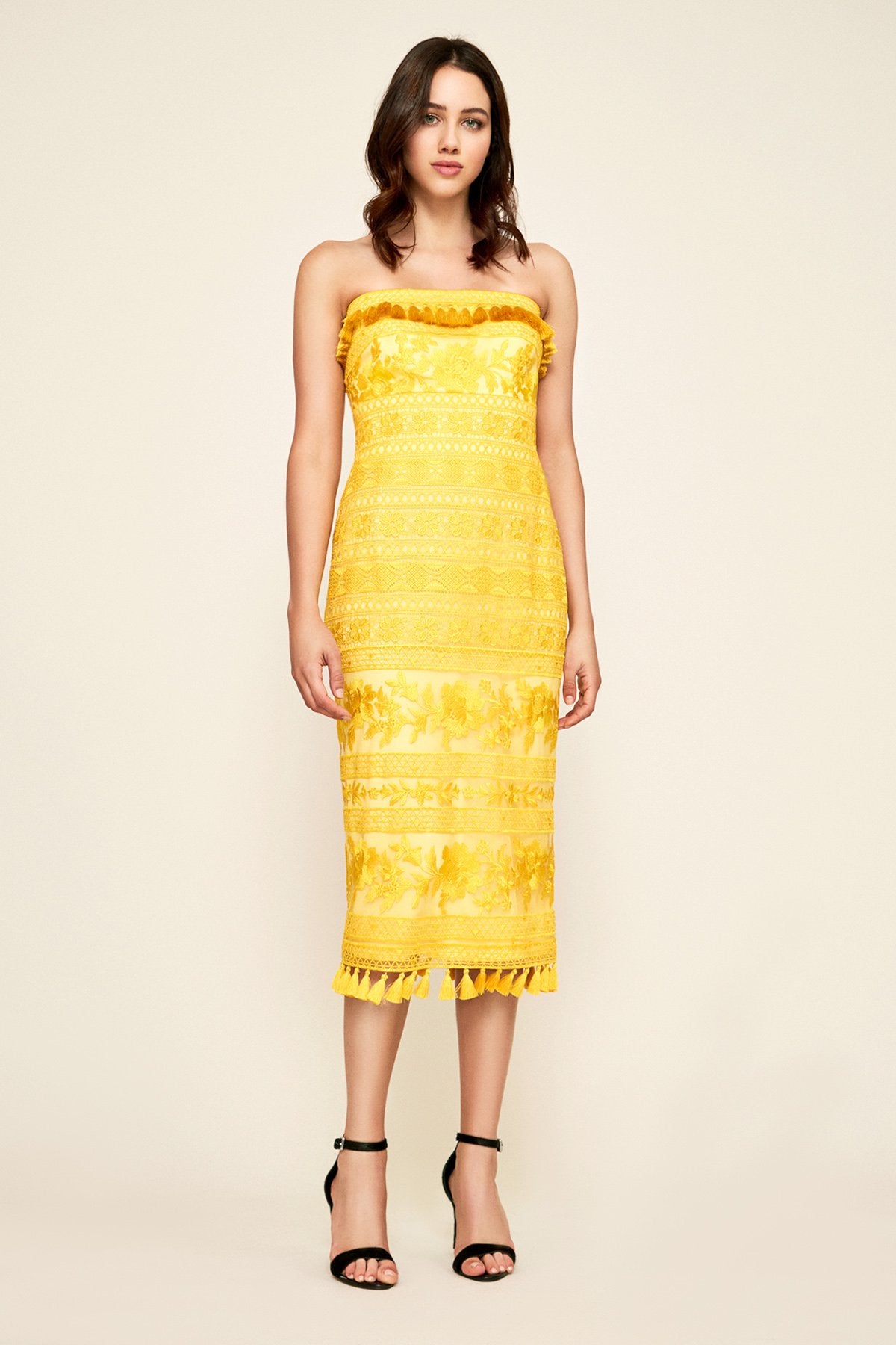 Sol Strapless Fitted Midi Dress  Tadashi Shoji Official Online Boutique