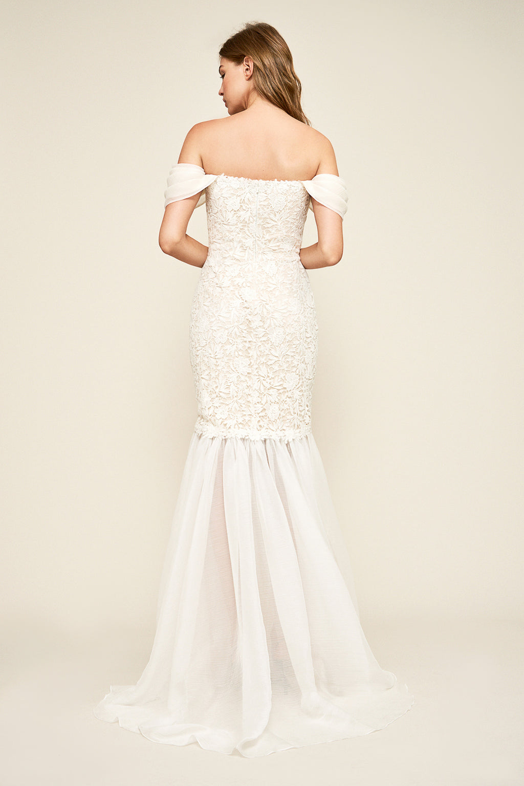 Tadashi Shoji - Caye Chiffon Sleeve Lace Gown