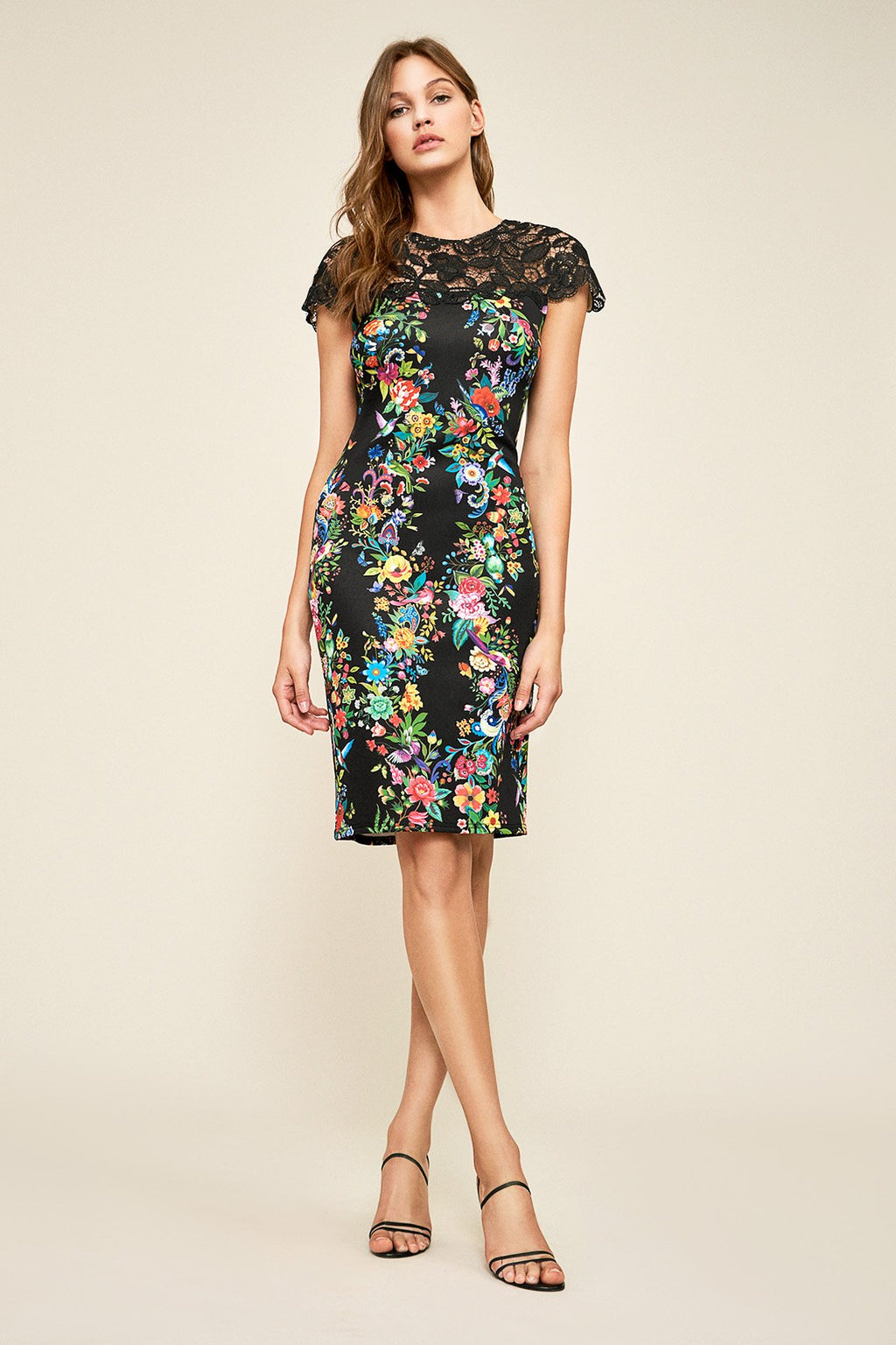 Tadashi Shoji - Alyxandria Sheath Dress
