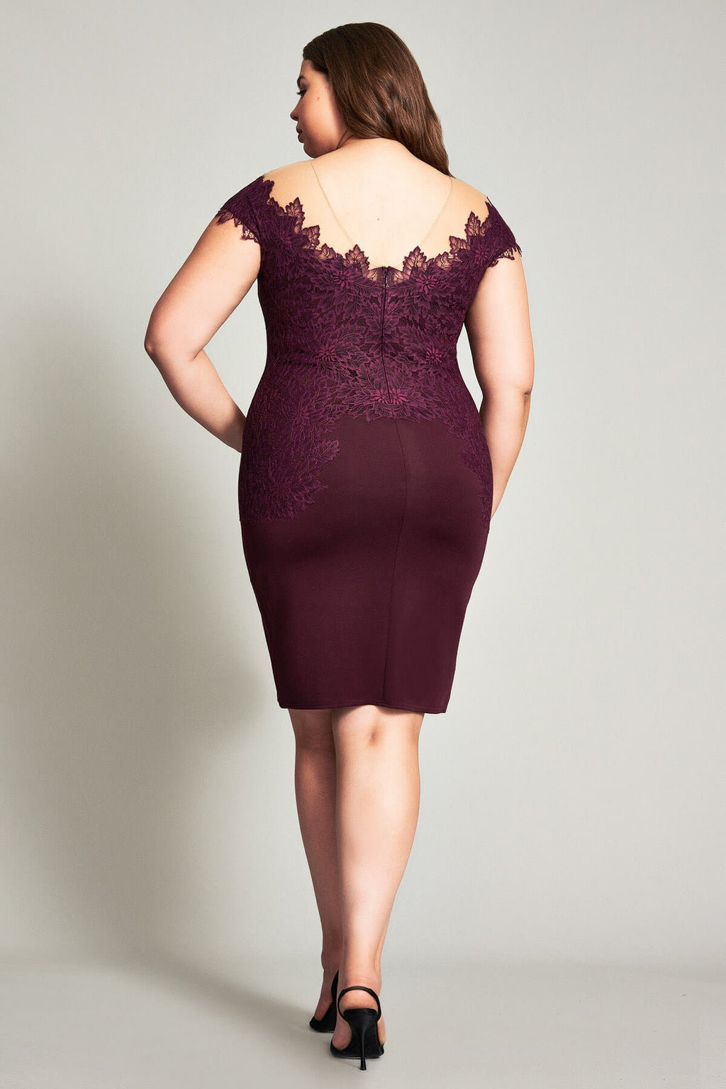 Tadashi Shoji - Olivine Lace Neoprene Dress - PLUS SIZE