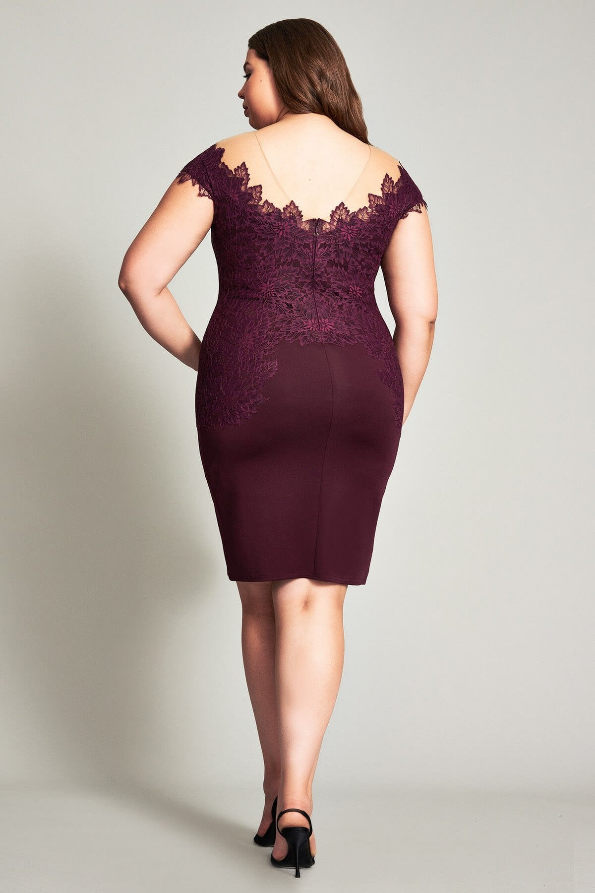 Tadashi Shoji - Olivine Lace Neoprene Dress - PLUS SIZE