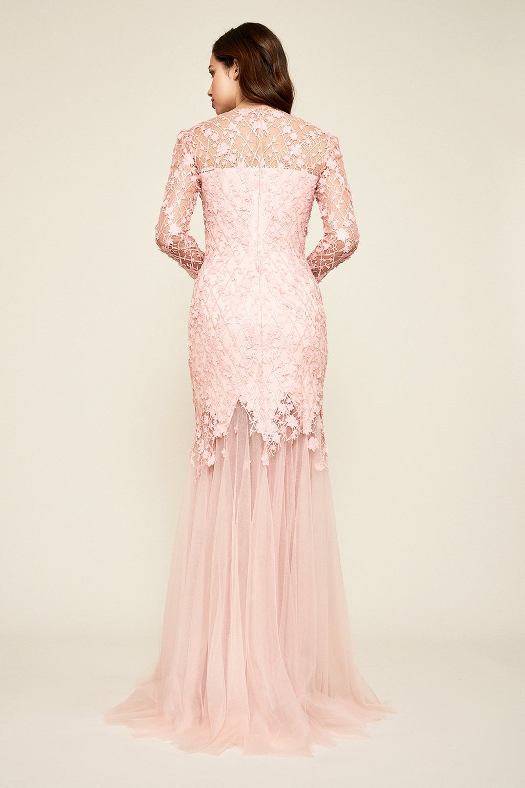 Ruza Embroidered Tulle Gown
