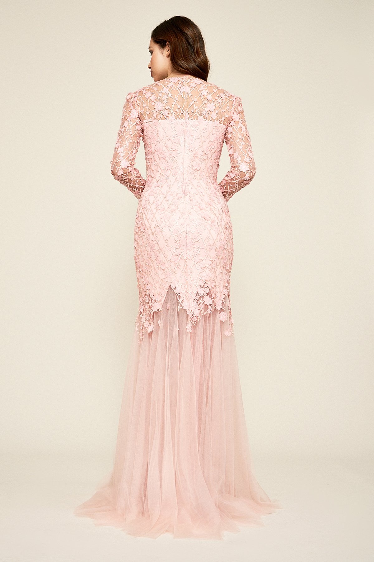 Ruza Embroidered Tulle Gown