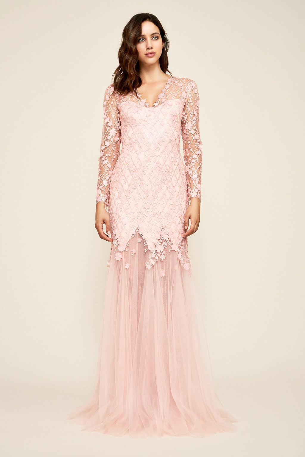 Ruza Embroidered Tulle Gown